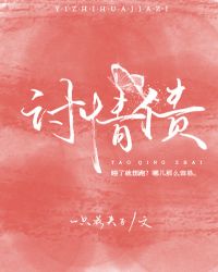 讨情债小说阅读