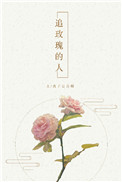 追玫瑰的人小说阅读