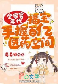全家穿年代，福宝手握百亿医药空间小说阅读