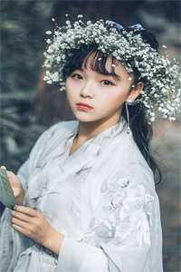 四面体by鱼双意小说阅读
