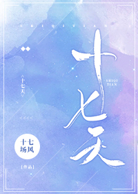 十七天小说阅读