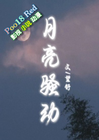 月亮骚动（py转正 1v1h）小说阅读