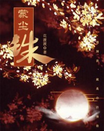 蒙尘珠小说阅读