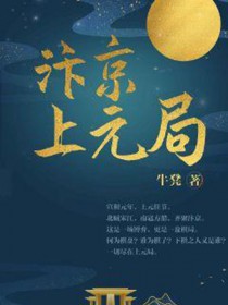 汴京上元局小说阅读