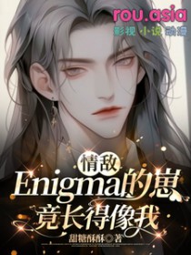 情敌Enigma的崽竟长得像我小说阅读