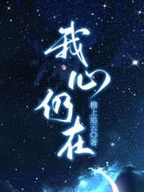 我心仍在小说阅读