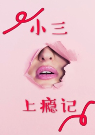 小三上瘾记小说阅读