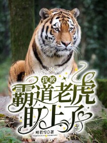 我被霸道老虎盯上了小说阅读