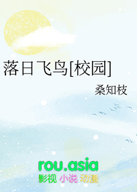 落日飞鸟[校园]小说阅读