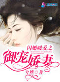 闪婚暖爱之御宠娇妻小说阅读