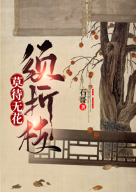 莫待无花须折枝小说阅读