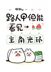 路人，但能看见主角光环小说阅读