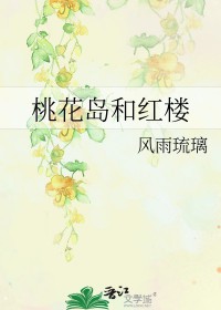 桃花岛和红楼小说阅读