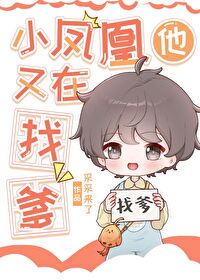 小凤凰他又在找爹小说阅读