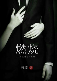 燃烧 (高干 高H）小说阅读