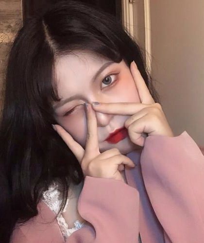 驯服野玫瑰小说阅读