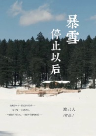 暴雪停止以后小说阅读