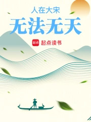 人在大宋，无法无天小说阅读