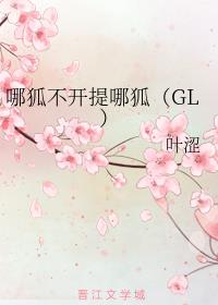 哪狐不开提哪狐