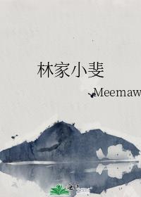 林家小斐